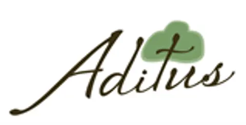 Aditus
