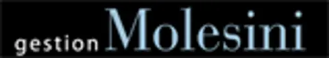 Construction Molesini