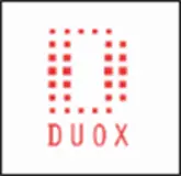 Construction Duox