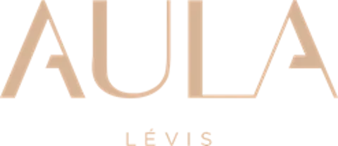 9419-1350 Québec inc