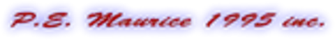P.E. Maurice (1995)