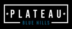 Plateau Blue Hills